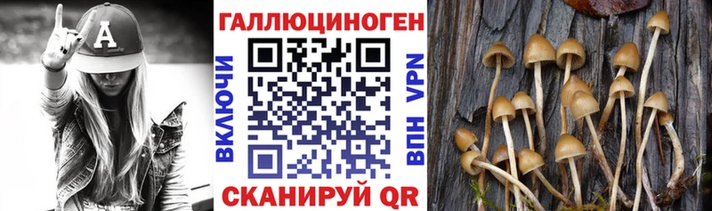 наркотики  Комсомольск  Псилоцибиновые грибы GOLDEN TEACHER 